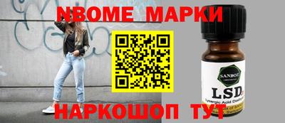 хмурый Сланцы