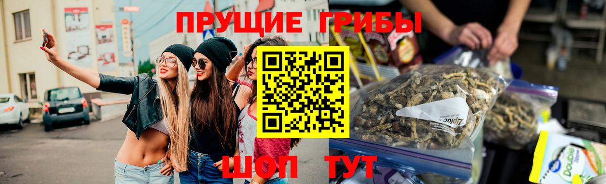 Псилоцибиновые грибы ЛСД Моздок