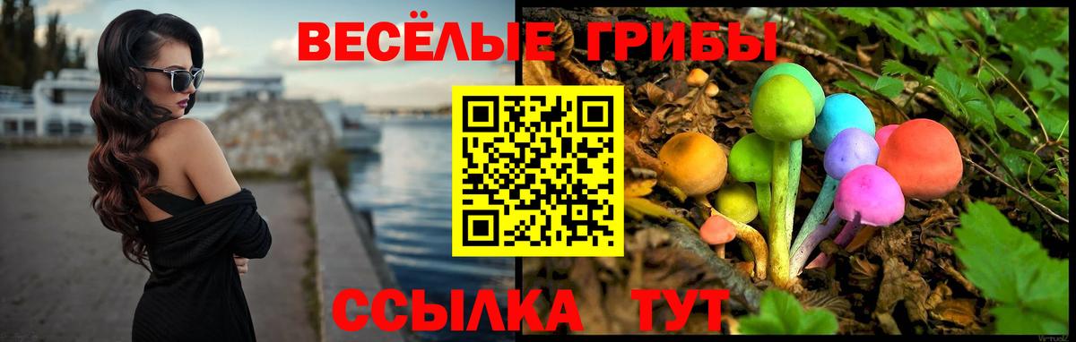 Галлюциногенные грибы Psilocybe  Вход с VPN  Моздок 